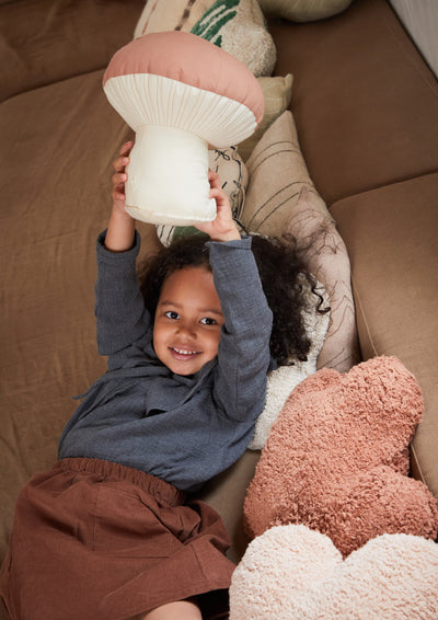 Cushion Boletus