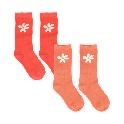 Socks daisy rose petal / 2-pack